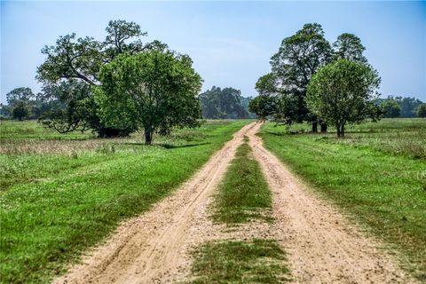 Tiny photo for 5655 Brazos Bow Way, Washington, TX 77880 (MLS # 26002406)