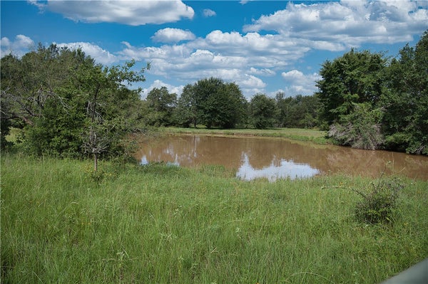 12609 E B WATSON RD, BREMOND, TX 76629 - Image f99856443fb08857a2c0964dc250bbdd/1659137309