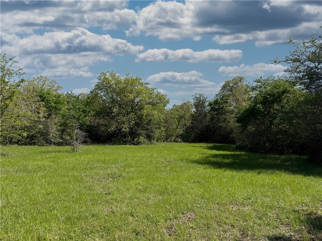 12538 S E B Watson County Road SE