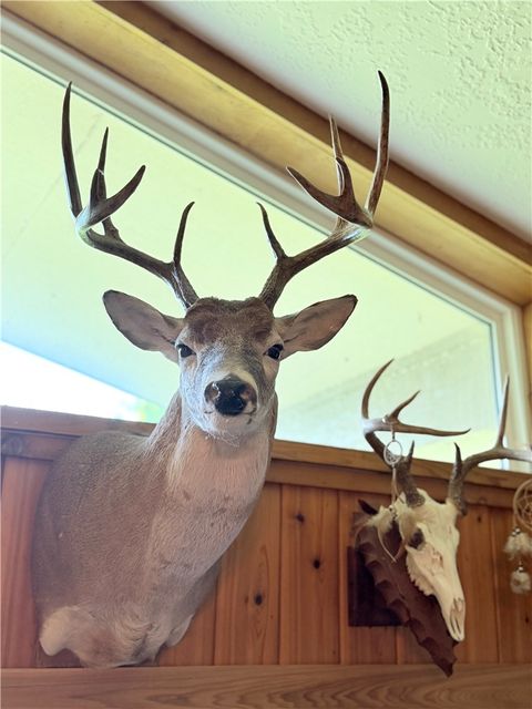 Tiny photo for 7675 County Road 146, Bedias, TX 77831 (MLS # 26006493)