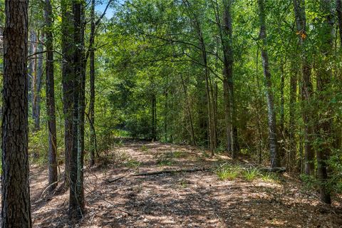 Tiny photo for 7675 County Road 146, Bedias, TX 77831 (MLS # 26006493)