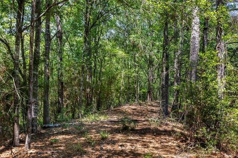 Tiny photo for 7675 County Road 146, Bedias, TX 77831 (MLS # 26006493)