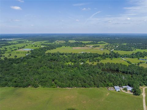Tiny photo for 7675 County Road 146, Bedias, TX 77831 (MLS # 26006493)