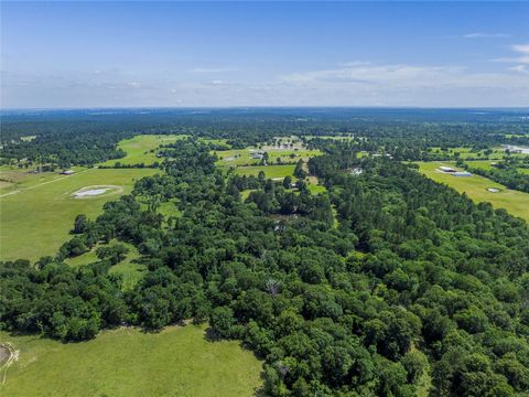 Tiny photo for 7675 County Road 146, Bedias, TX 77831 (MLS # 26006493)