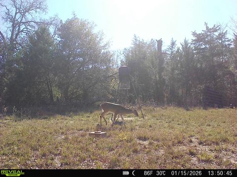 Tiny photo for 12863 Emu Lane, North Zulch, TX 77872 (MLS # 26004049)