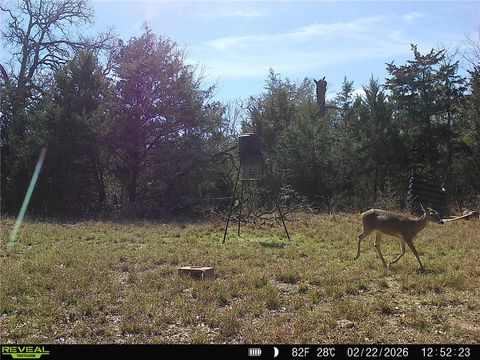 Tiny photo for 12863 Emu Lane, North Zulch, TX 77872 (MLS # 26004049)