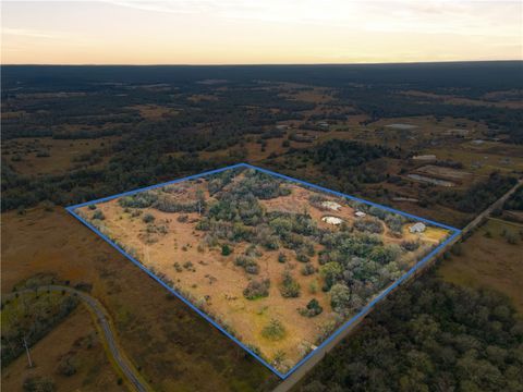 Tiny photo for 13772 County Road 175, Iola, TX 77861 (MLS # 26001198)