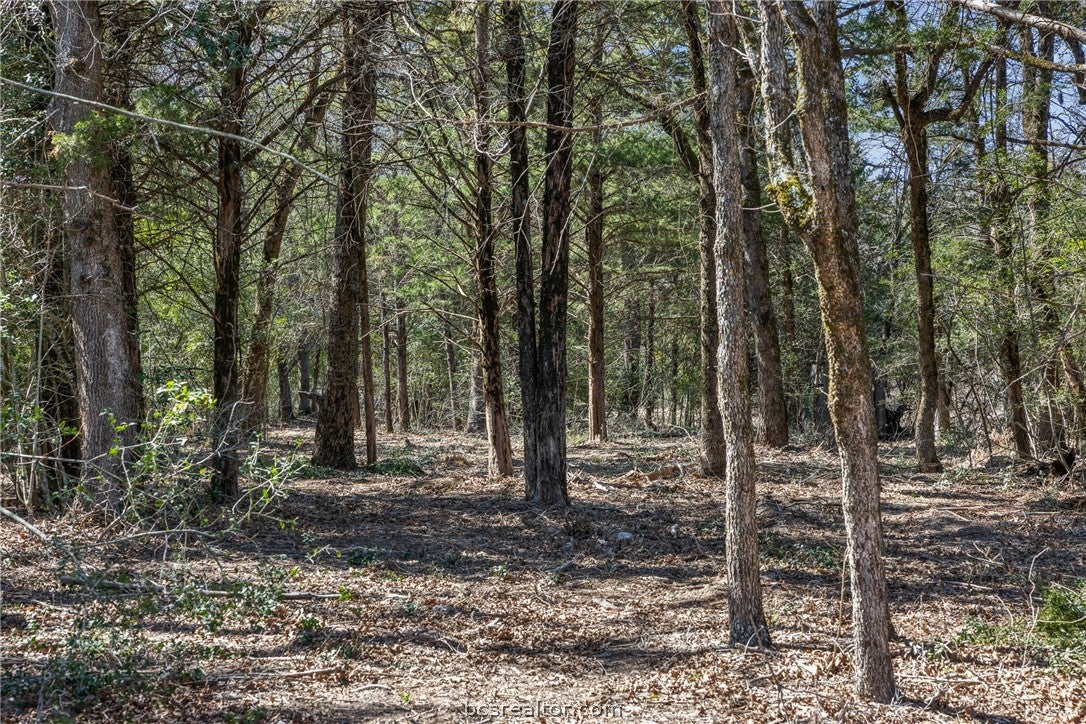 4.81 AC Pauline Lane