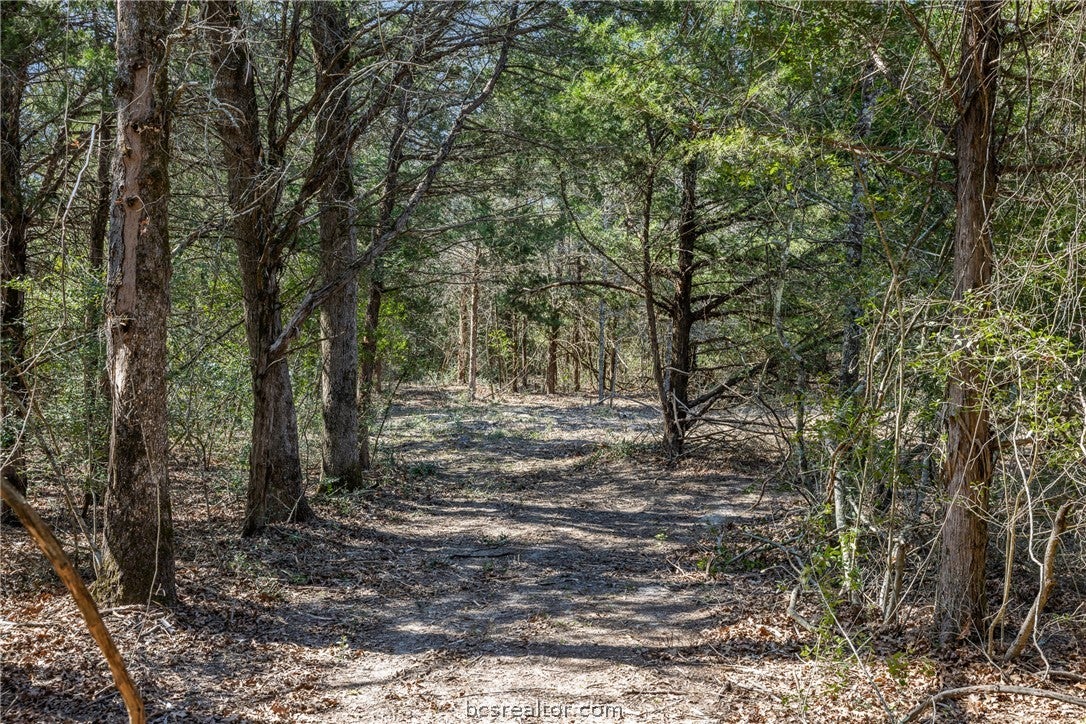 4.81 AC Pauline Lane