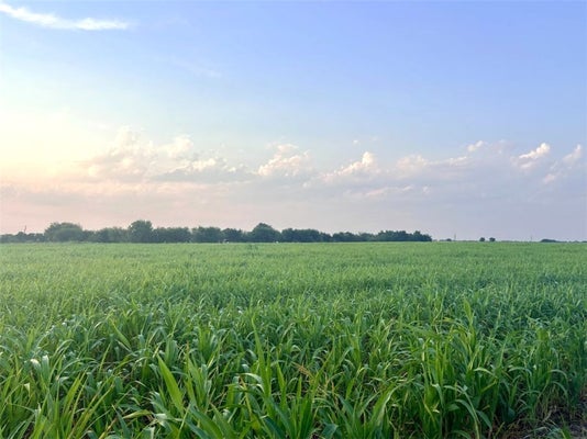 366 COUNTY ROAD 123, BUCKHOLTS, TX 76518 - Image fc8929ab7a9793cf393759cb63473aa9/1225256070