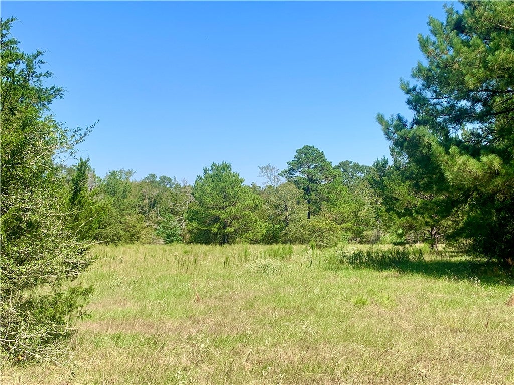 000 County Road 137
