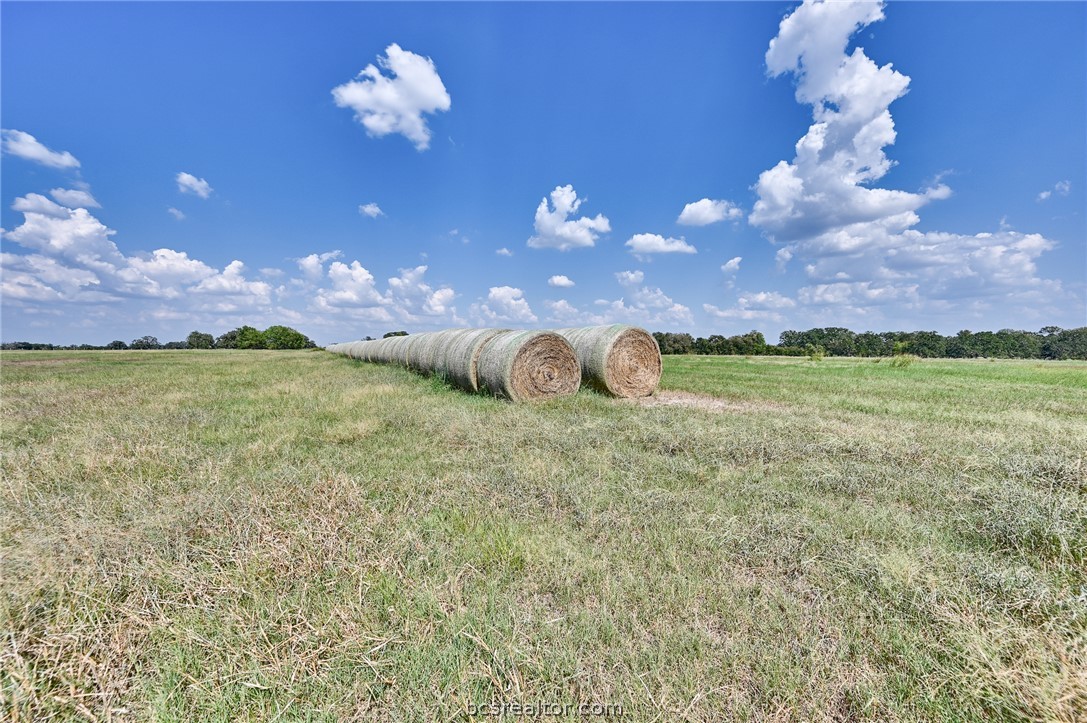 TBD Farm Road 60