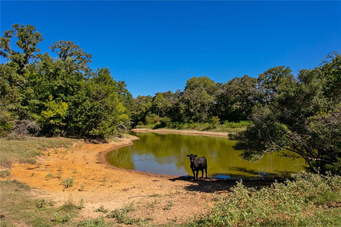 11041 Jackrabbit Lane