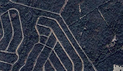 Lot 31 Mushroom Circle Hilltop Lakes TX 77871