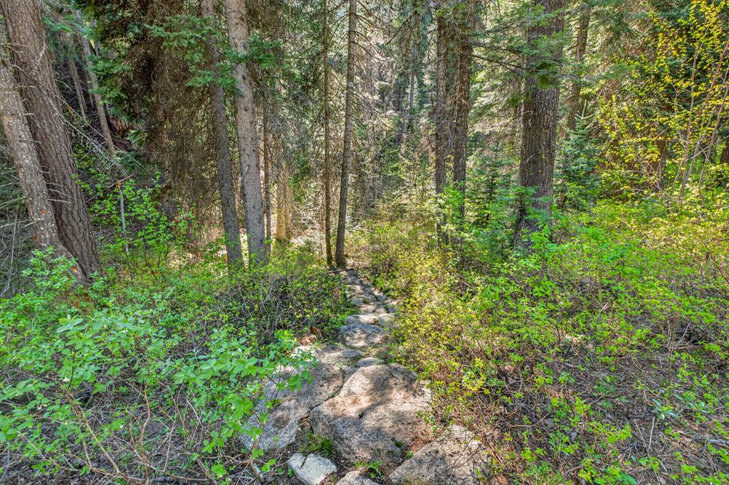 Duck Creek, Your own private huckleberry patch