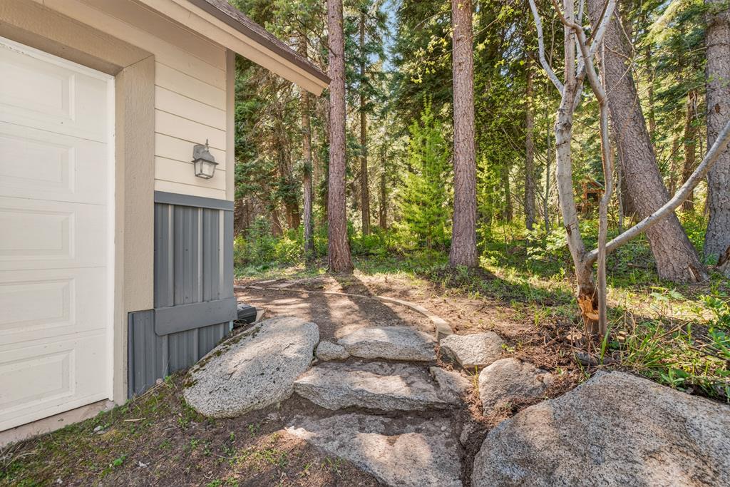 The forest path, Leads from the garage to the front door.