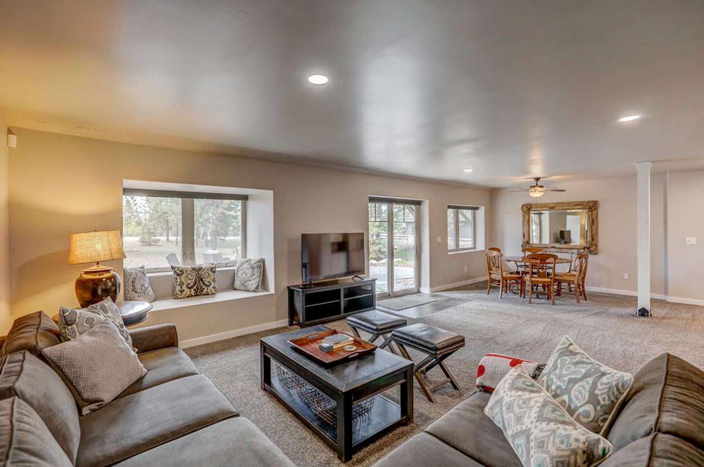 Lower Level Living Room