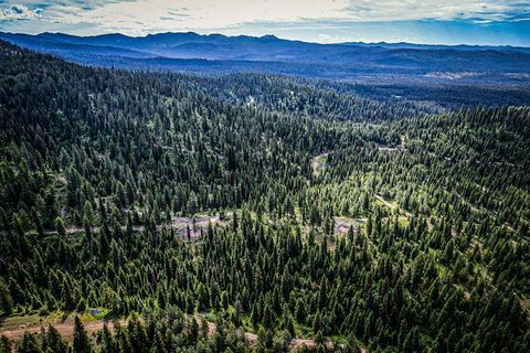 Unimproved Land in McCall ID TBD Paddy Flat Road.jpg
