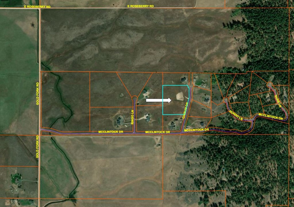 Google Earth Image