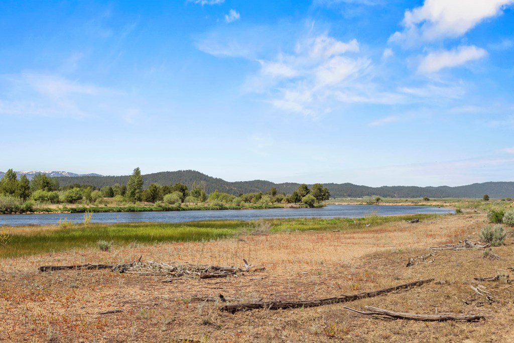 Fishing Directly Out Your Back Door