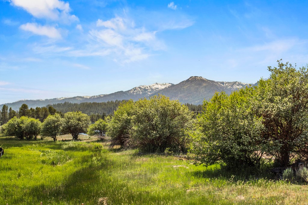 Welcome to the River District