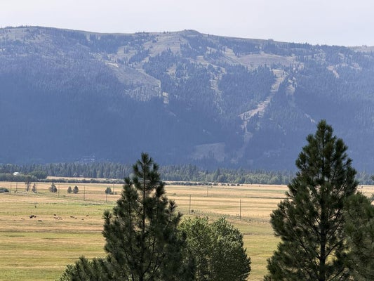 12580 TAKEUCHI DR, DONNELLY, ID 83615 - Image 3a8e37b4e2303cf740e3ceafecca3857/1768743217
