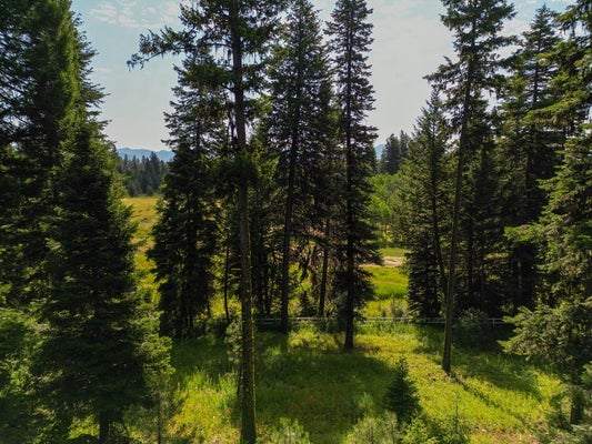 4625 WILLIAMS CREEK LOOP # 96, MCCALL, ID 83638 - Image 4029adf8bd2a2d8b09a60a8dacd586db/1045848569