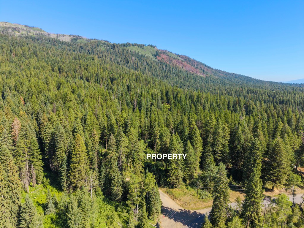 View North Toward Tamarack