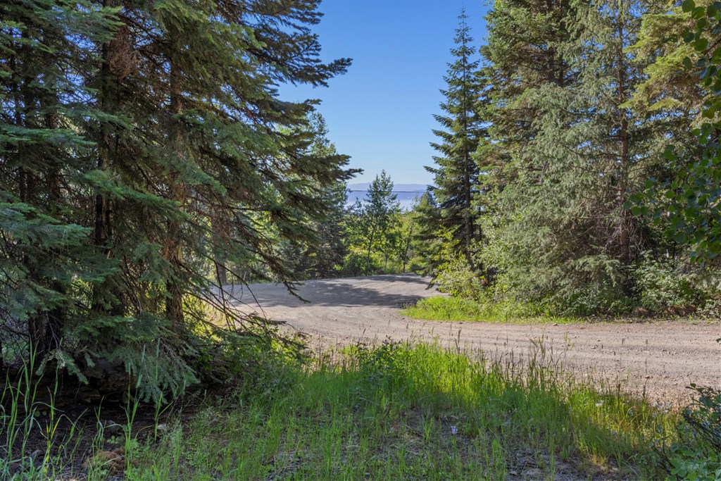 Entry from Arling Trail
