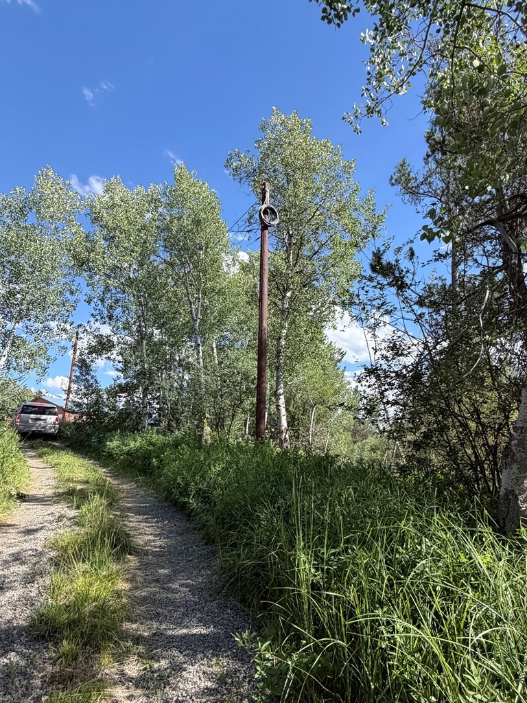 Service Pole