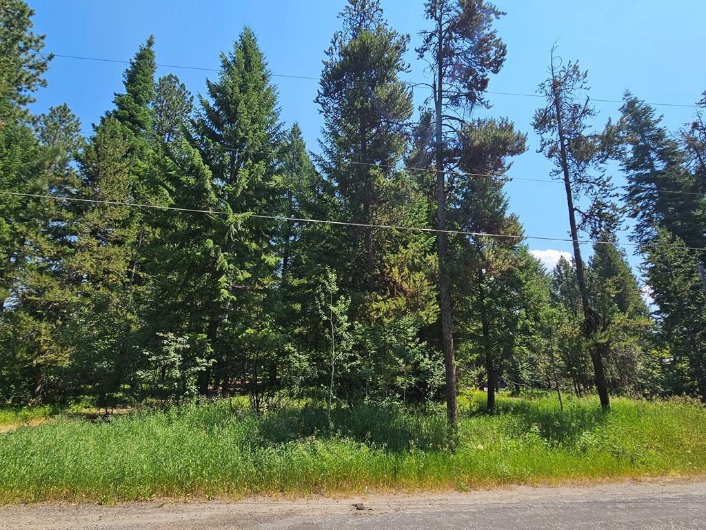 693 N Samson Trail 10 McCall ID 83638