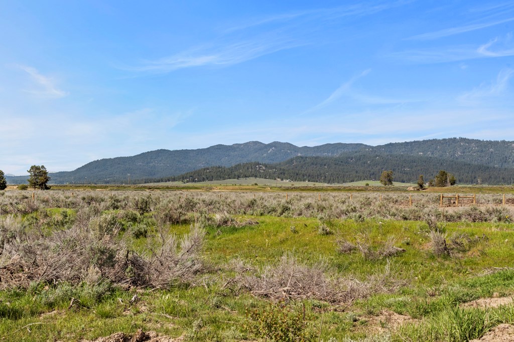 View Looking to the Northeast