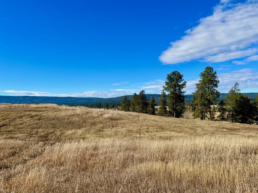 Lot 14 Wood Run Trail 14 McCall ID 83638