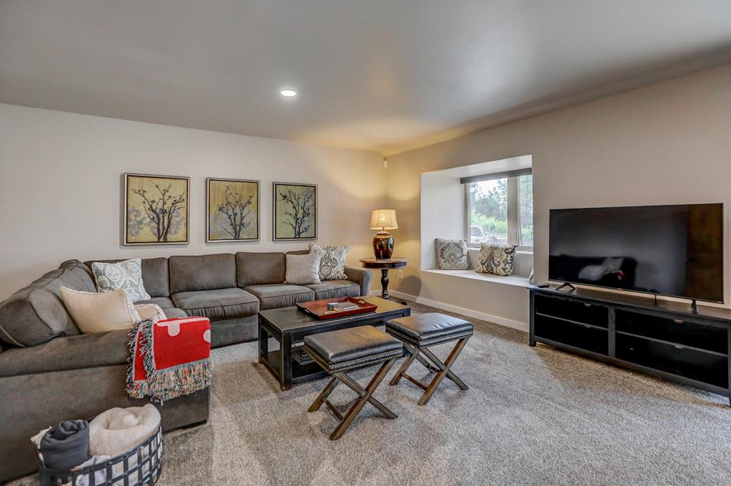 Lower Level Living Area