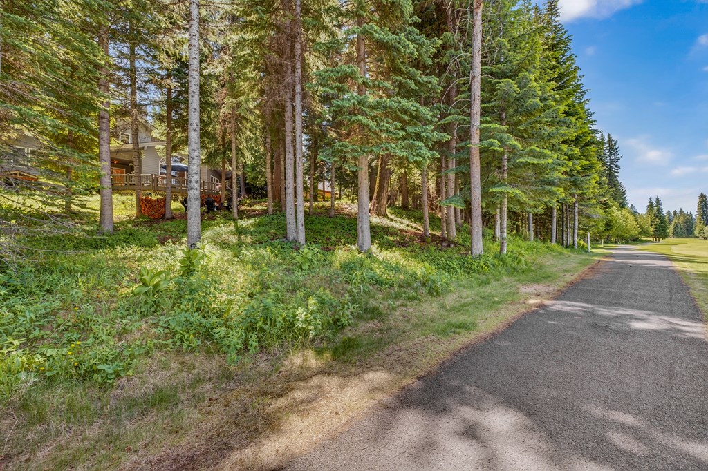 Golf Path Next to Home