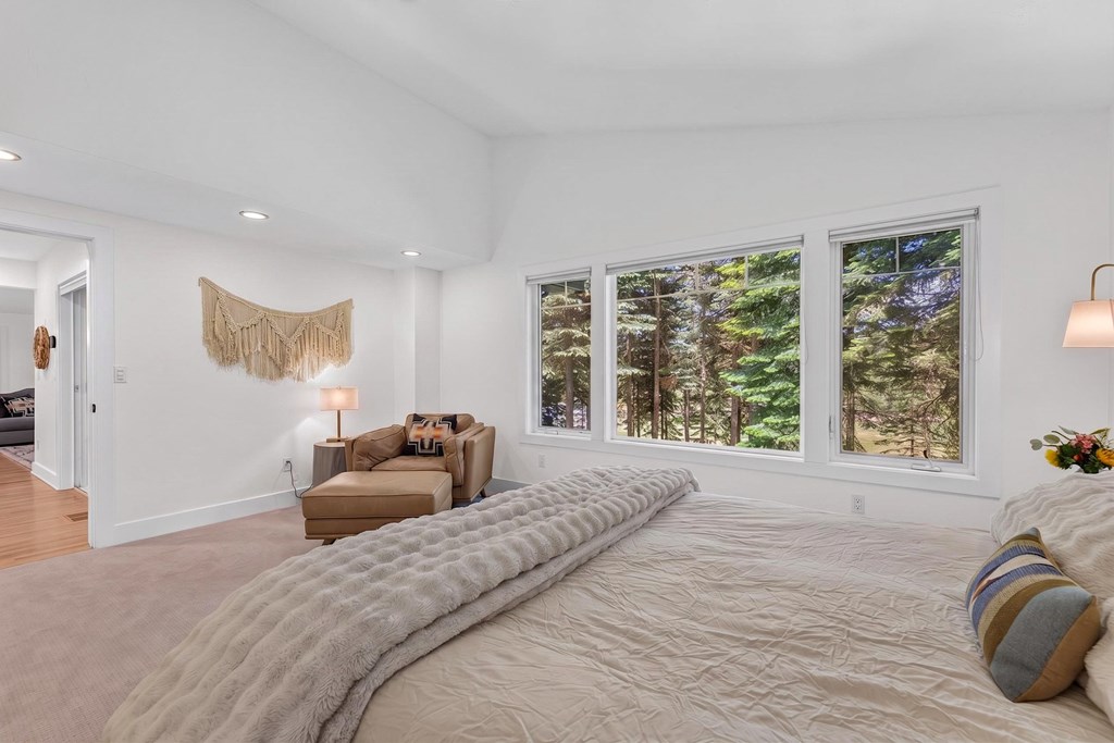 Wooded Views from Primary Bedroom