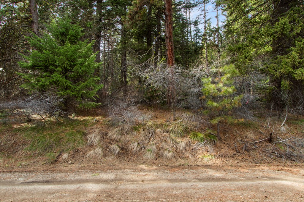 Looking at Lot from Burnt Wagon
