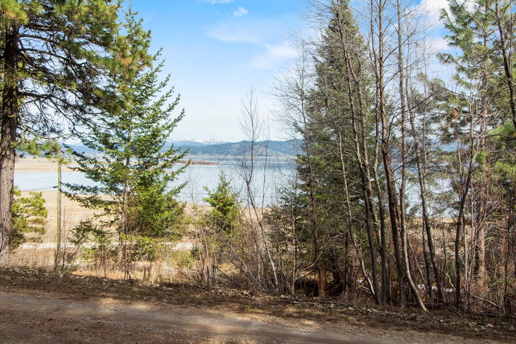 View from Front of Lot