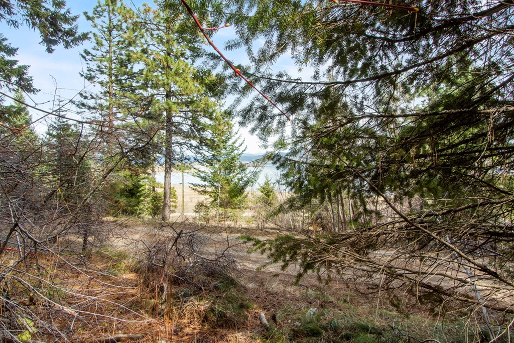 From Inside Front of Lot