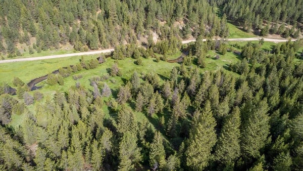 TBD 39 CLEAR CREEK ROAD, CASCADE, ID 83611 - Image 96e7b2aede660bbf70075785cab5bcf7/1228338894