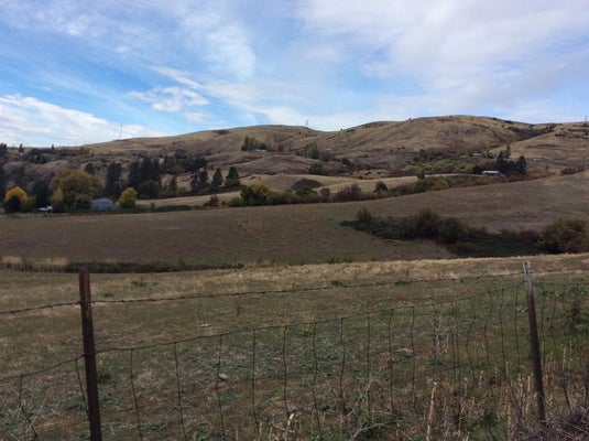 19357 SCHOOL RD, LENORE, ID 83541 - Image 9db23f46c3f603811ddb954e3bb39b7f/1753989509