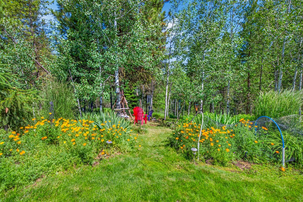 Gardens of perennials frame your world