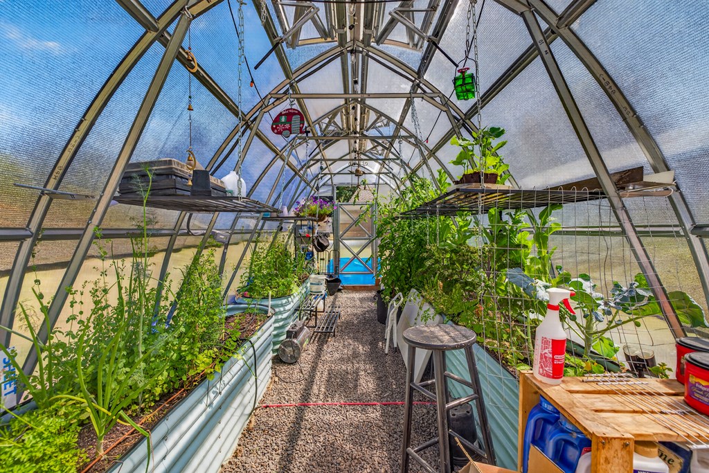Tomatoes are on!