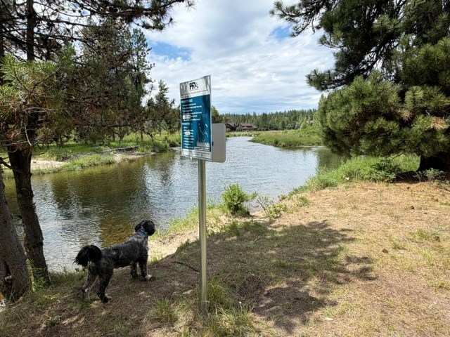 Here We Are, A brief trek delivers your own Payette River adventures