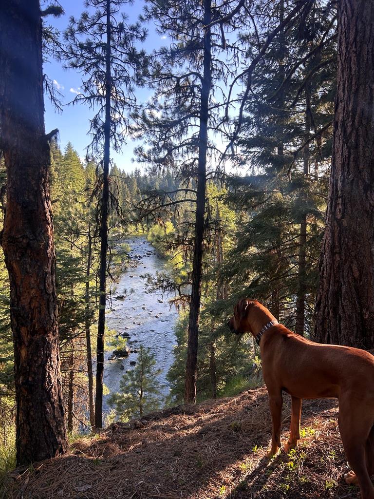 Views of Payette River