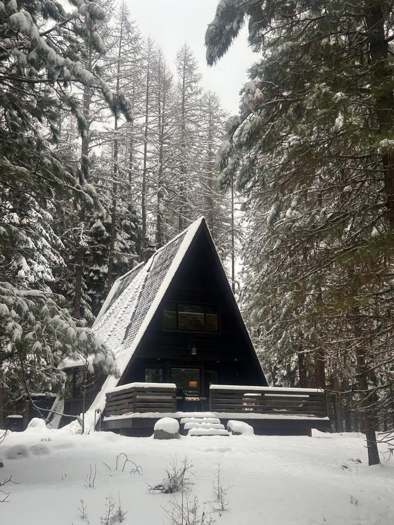 Cabin in Winter, You never have to shovel this roof!