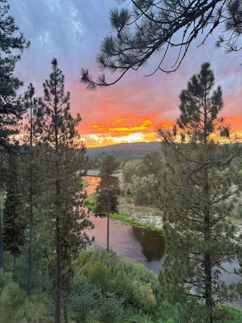 Photo of 201 Brook Drive, McCall, ID 83638 (MLS # 543182)