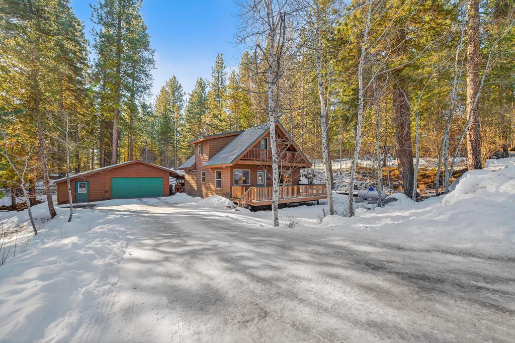 Nice pines & aspens all around