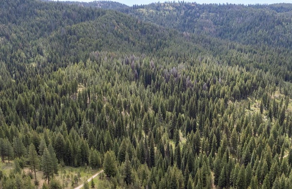 TBD 38 CLEAR CREEK ROAD, CASCADE, ID 83611 - Image bbda466c20bb924ffb030b8eacbb9f1f/2042528500