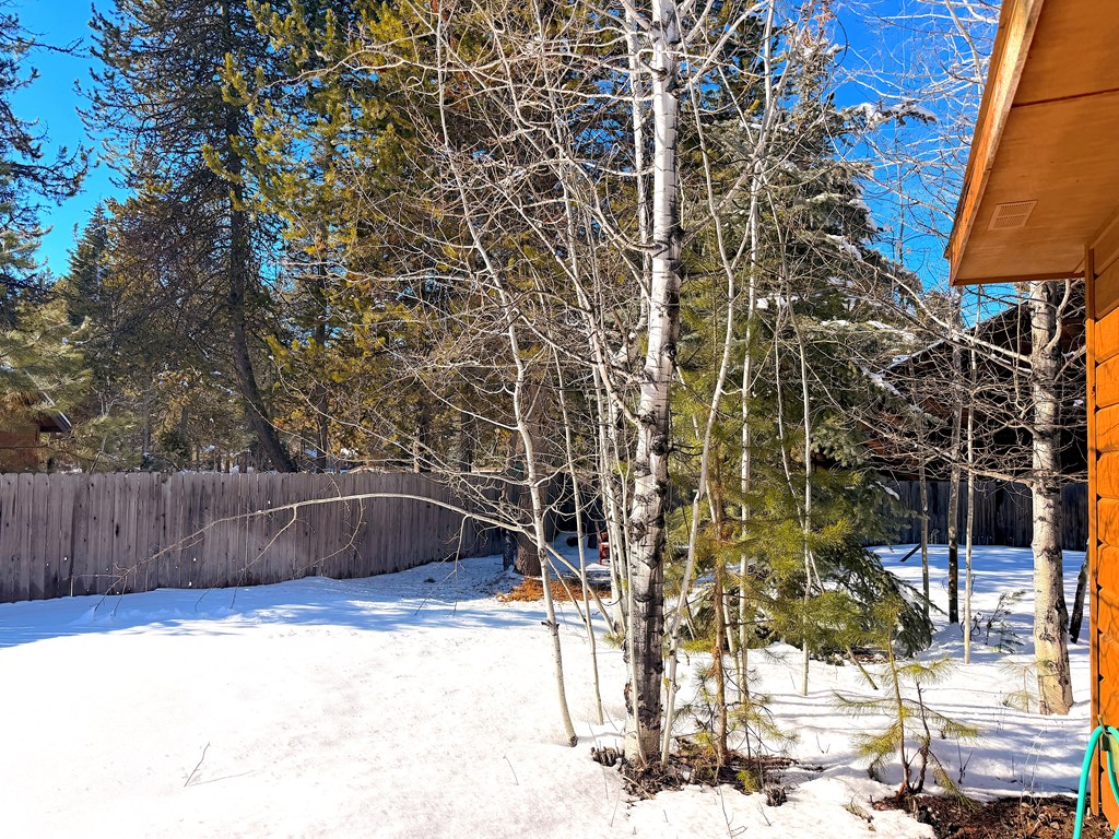 Back Yard - Full Auto Sprinklers